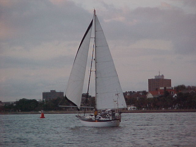 Rosie sailing in Charleston Harbor